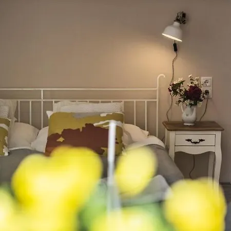 아파트 Vagi Sárvár